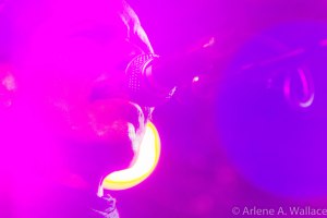 Shuggie Psychedlic - 5999